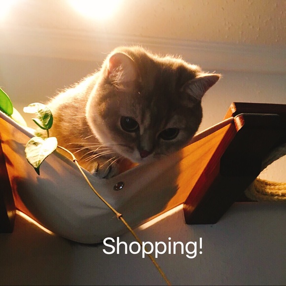 Welcome to Estelle's closet! - Picture 3 of 4